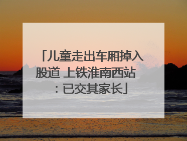 儿童走出车厢掉入股道 上铁淮南西站：已交其家长