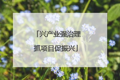 兴产业强治理 抓项目促振兴