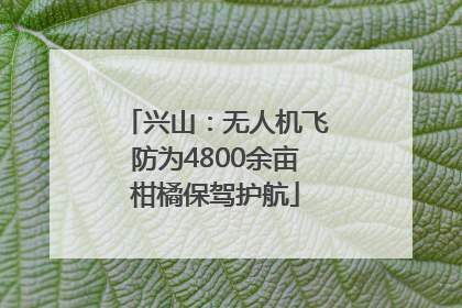 兴山：无人机飞防为4800余亩柑橘保驾护航