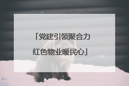 党建引领聚合力 红色物业暖民心