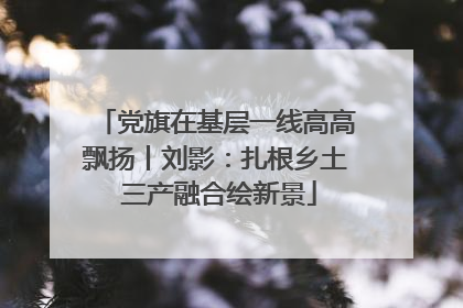党旗在基层一线高高飘扬丨刘影：扎根乡土 三产融合绘新景