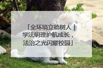 全环境立德树人｜学法明理护航成长，法治之光闪耀校园
