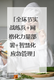全环节实战练兵+网格化力量部署+智慧化应急管理