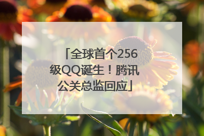 全球首个256级QQ诞生！腾讯公关总监回应