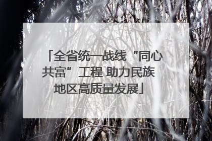 全省统一战线“同心共富”工程 助力民族地区高质量发展