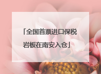 全国首票进口保税岩板在南安入仓