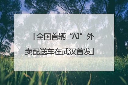 全国首辆“AI”外卖配送车在武汉首发