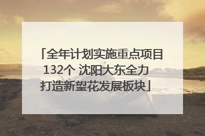 全年计划实施重点项目132个 沈阳大东全力打造新望花发展板块
