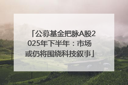 公募基金把脉A股2025年下半年：市场或仍将围绕科技叙事