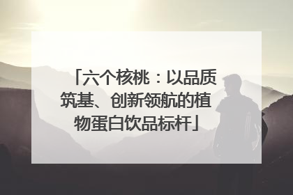 六个核桃：以品质筑基、创新领航的植物蛋白饮品标杆