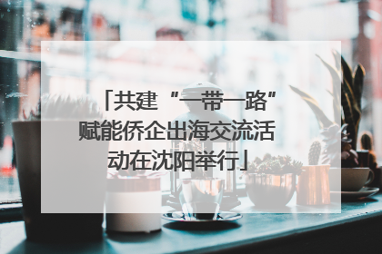 共建“一带一路”赋能侨企出海交流活动在沈阳举行