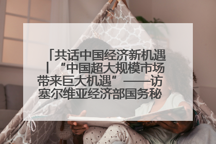 共话中国经济新机遇丨“中国超大规模市场带来巨大机遇”——访塞尔维亚经济部国务秘书尼科利奇