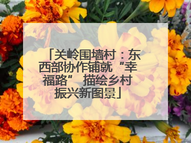 关岭围墙村：东西部协作铺就“幸福路” 描绘乡村振兴新图景
