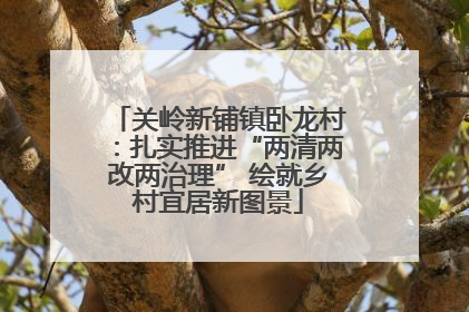 关岭新铺镇卧龙村：扎实推进“两清两改两治理” 绘就乡村宜居新图景