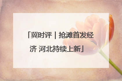 冀时评｜抢滩首发经济 河北持续上新