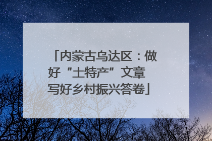 内蒙古乌达区：做好“土特产”文章 写好乡村振兴答卷