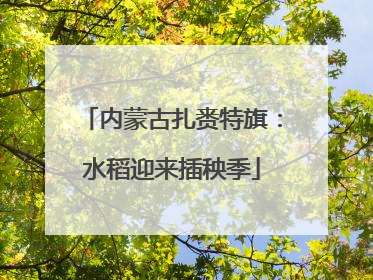 内蒙古扎赉特旗：水稻迎来插秧季