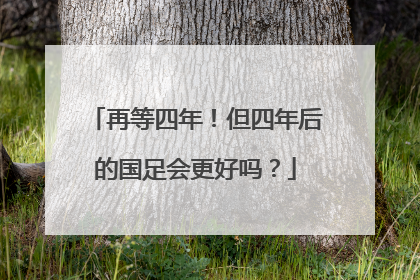 再等四年！但四年后的国足会更好吗？