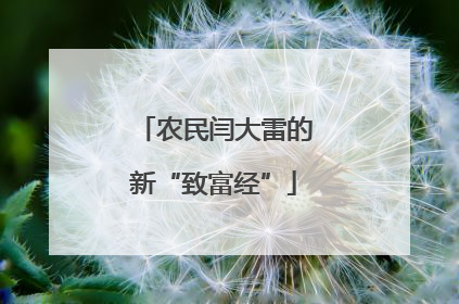 农民闫大雷的新“致富经”