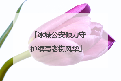 冰城公安倾力守护续写老街风华