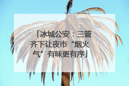 冰城公安：三管齐下让夜市“烟火气”有味更有序
