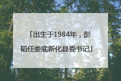 出生于1984年，彭韬任娄底新化县委书记