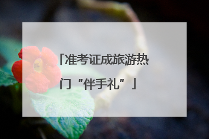准考证成旅游热门“伴手礼”