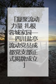 凝聚流动力量 扎根蓉城家园——四川盐亭流动党员成都党支部正式揭牌成立