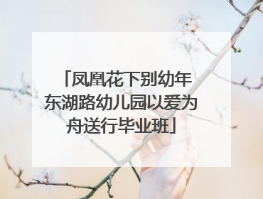 凤凰花下别幼年 东湖路幼儿园以爱为舟送行毕业班
