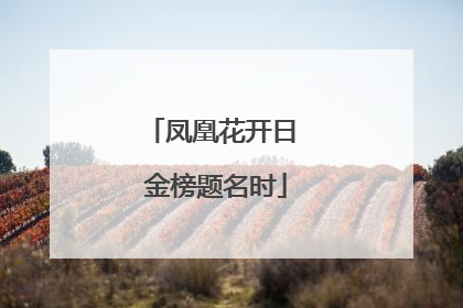 凤凰花开日 金榜题名时