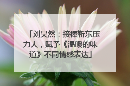 刘昊然：接棒靳东压力大，赋予《温暖的味道》不同情感表达