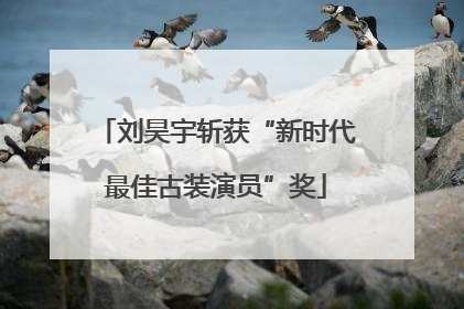 刘昊宇斩获“新时代最佳古装演员”奖