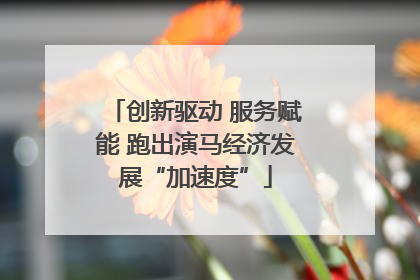 创新驱动 服务赋能 跑出演马经济发展“加速度”