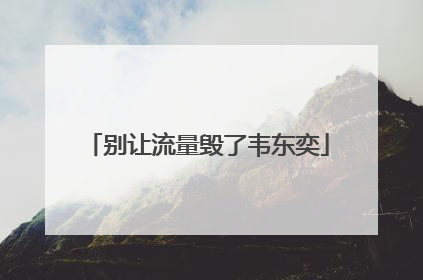 别让流量毁了韦东奕