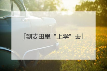 到麦田里“上学”去