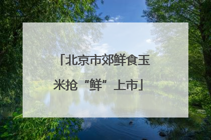 北京市郊鲜食玉米抢“鲜”上市