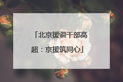 北京援疆干部高超：京援筑同心