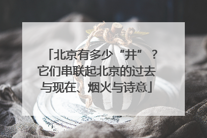 北京有多少“井”？它们串联起北京的过去与现在、烟火与诗意
