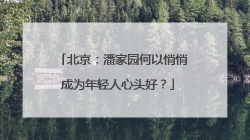 北京：潘家园何以悄悄成为年轻人心头好？