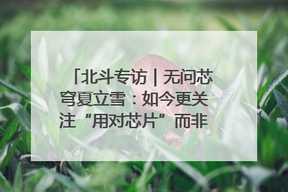 北斗专访｜无问芯穹夏立雪：如今更关注“用对芯片”而非“用贵芯片”