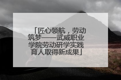 匠心领航，劳动筑梦——武威职业学院劳动研学实践育人取得新成果
