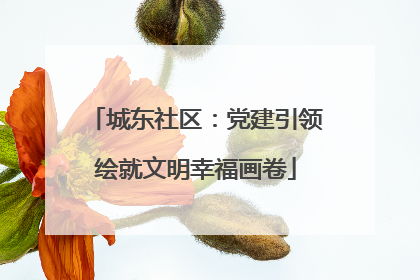 城东社区：党建引领绘就文明幸福画卷