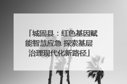 城固县：红色基因赋能智慧应急 探索基层治理现代化新路径
