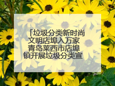 垃圾分类新时尚 文明店埠入万家 青岛莱西市店埠镇开展垃圾分类宣传活动