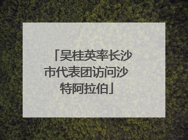吴桂英率长沙市代表团访问沙特阿拉伯