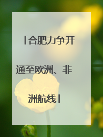 合肥力争开通至欧洲、非洲航线
