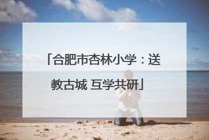合肥市杏林小学：送教古城 互学共研