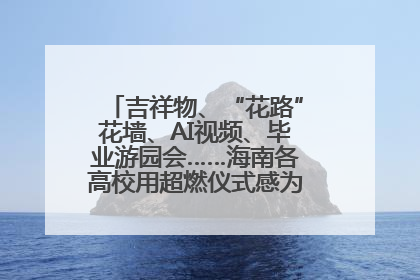 吉祥物、“花路”花墙、AI视频、毕业游园会……海南各高校用超燃仪式感为学子青春“存档”