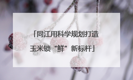 同江用科学规划打造玉米锁“鲜”新标杆