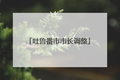 吐鲁番市市长调整